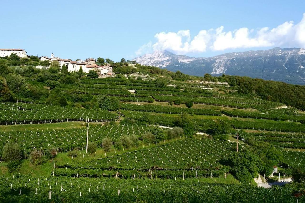 Appartamento Per Vacanze "Il Gelso" Rovereto  Buitenkant foto